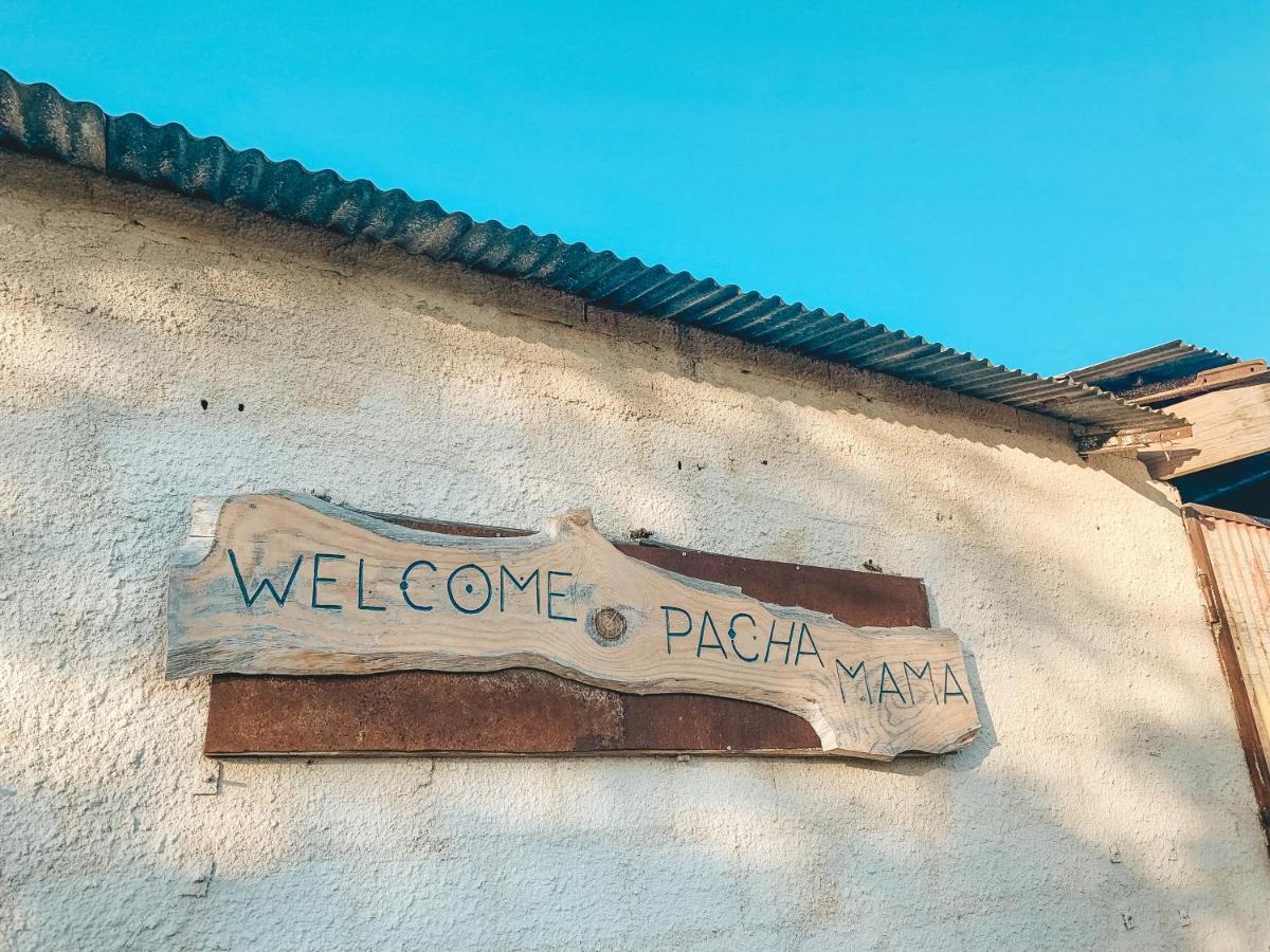 Be A Guest At Pachamama Community Διαμέρισμα Alcácer do Sal Εξωτερικό φωτογραφία