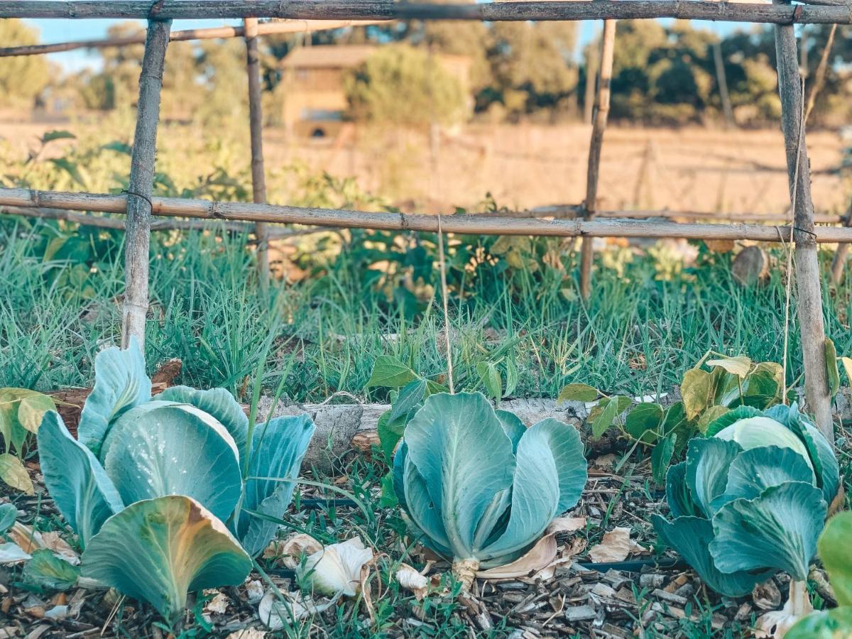 Be A Guest At Pachamama Community Διαμέρισμα Alcácer do Sal Εξωτερικό φωτογραφία