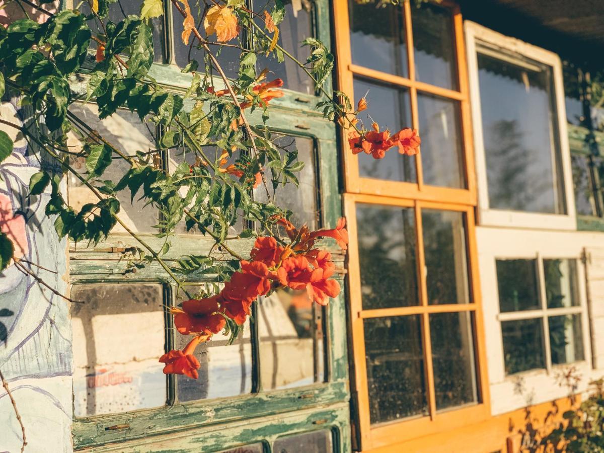 Be A Guest At Pachamama Community Διαμέρισμα Alcácer do Sal Εξωτερικό φωτογραφία